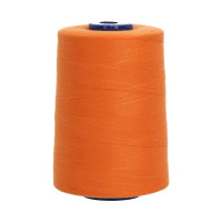 Polyesterová nit Viga 80 5000 m - 0424