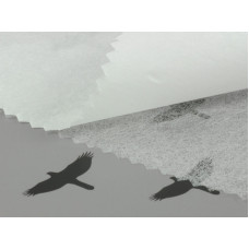 Vliesofix Fix 30 g/m2, šíře 90 cm